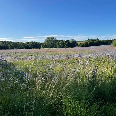 Holiday Home Near Nordstrand Nykobing Sj Nykøbing Sjælland